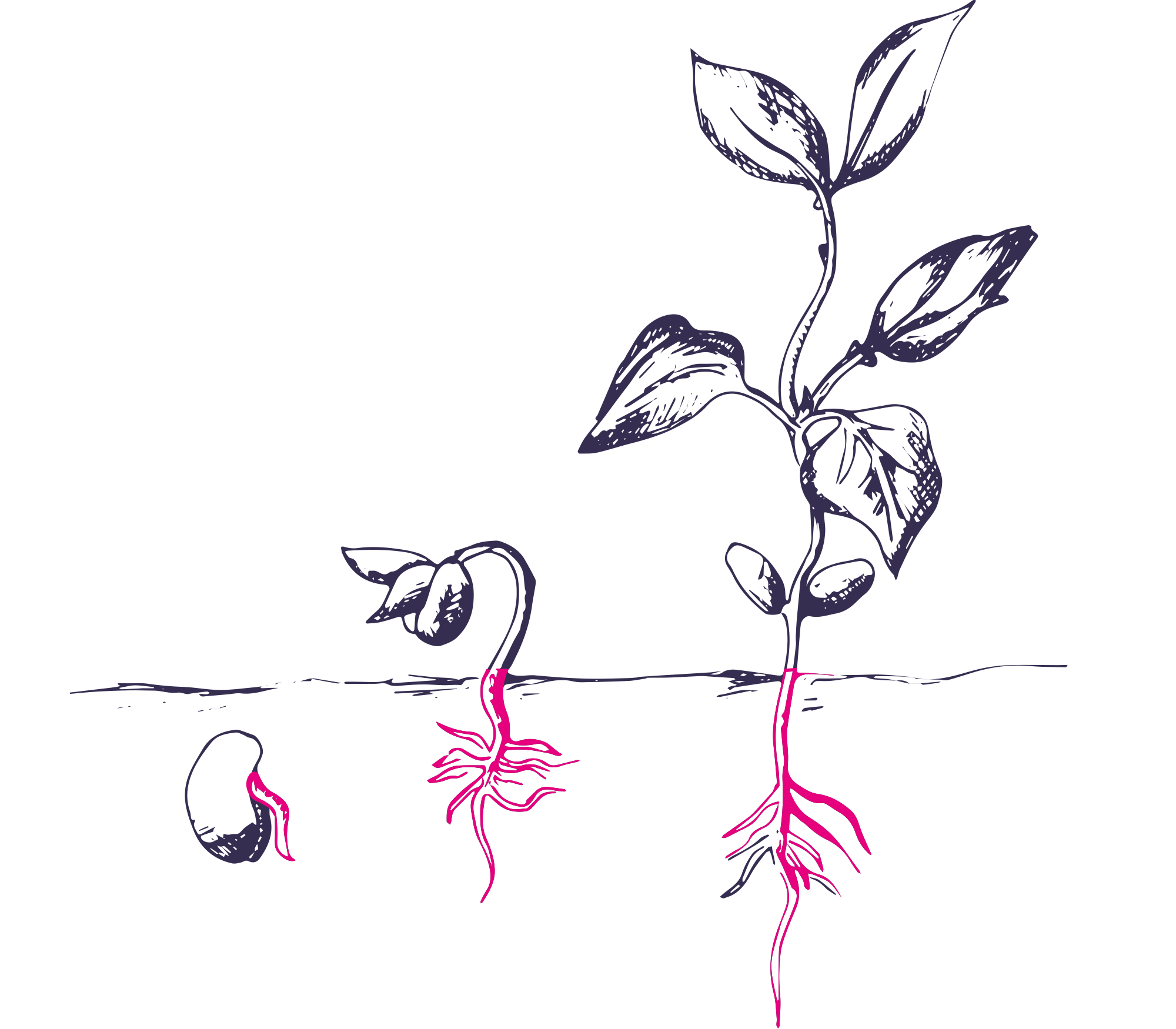 Executive, Team and Personal Coaching